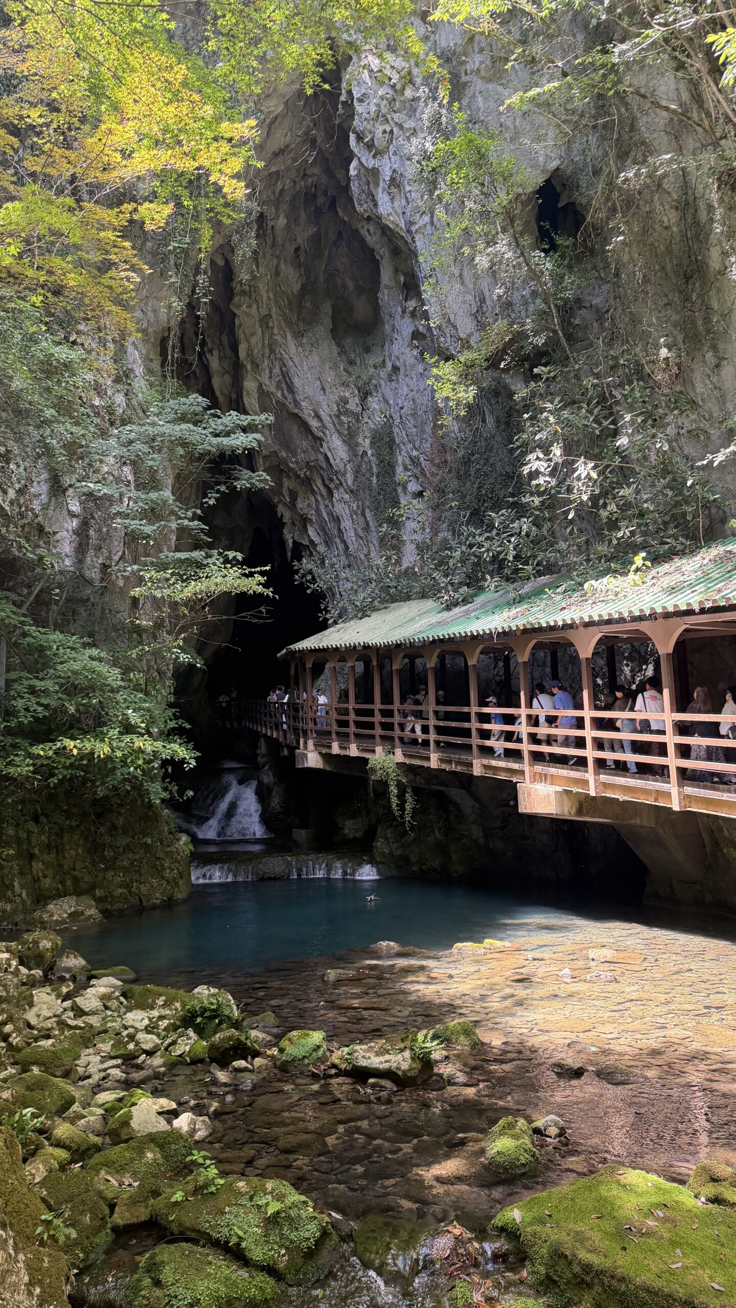 弾丸旅行！